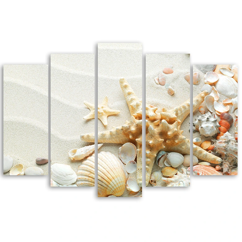 Wandbild 5-teilig, Muscheln Strand Sand Beige 