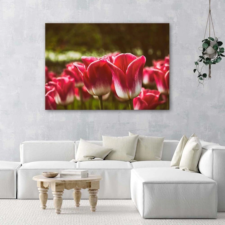 Leinwandbild, Blühende Tulpen 