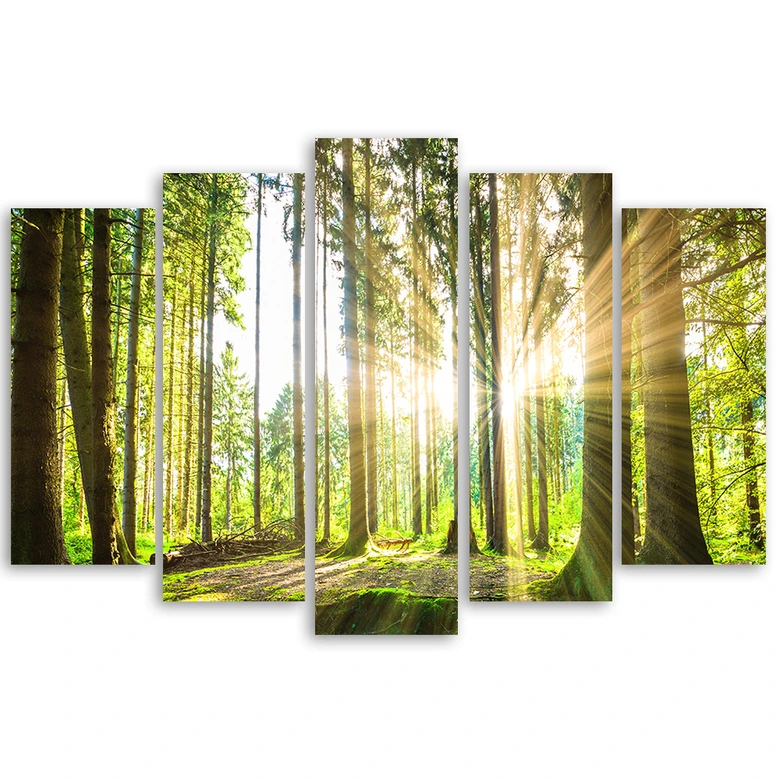 Leinwandbild 5 teilig, Wald Bäume Natur 