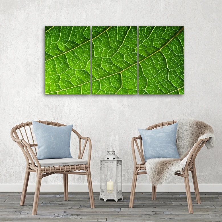 3-delige canvas print, groene bladeren natuur 