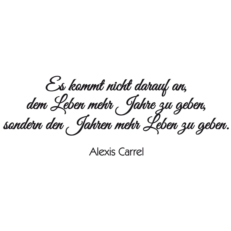 Wandtattoo Hortensie mit Wandspruch Set 