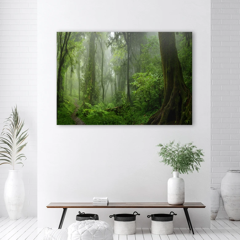 Canvasbillede, Tropisk jungle 