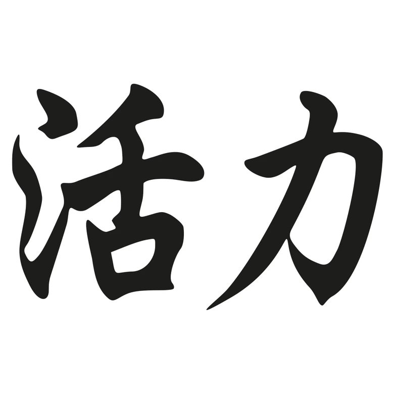 Wandtattoo Chinesisches Zeichen - Lebensenergie 