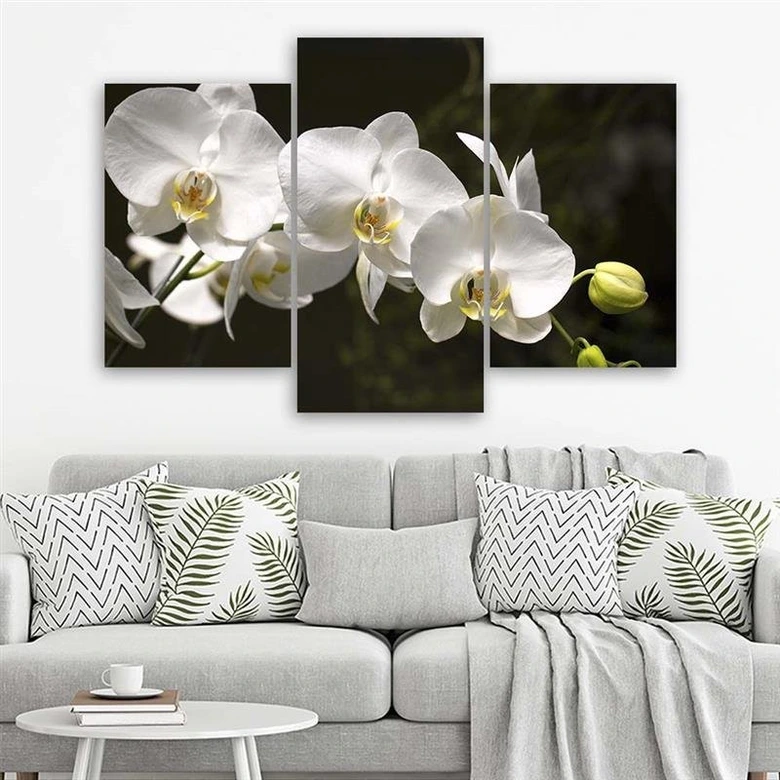 Leinwandbild 3-teilig, Orchideen Blumen Natur Weiß 