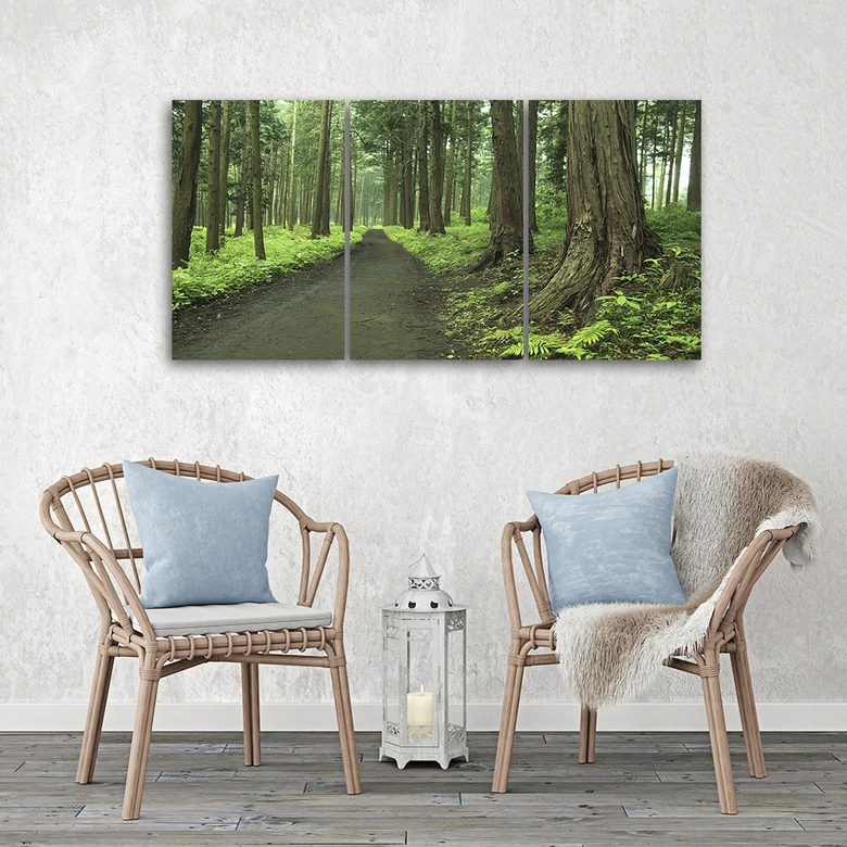 Leinwandbild 3-teilig, Wald Straße Bäume Natur 