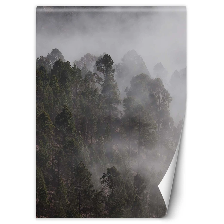 Fototapete, grüner Wald im Nebel 