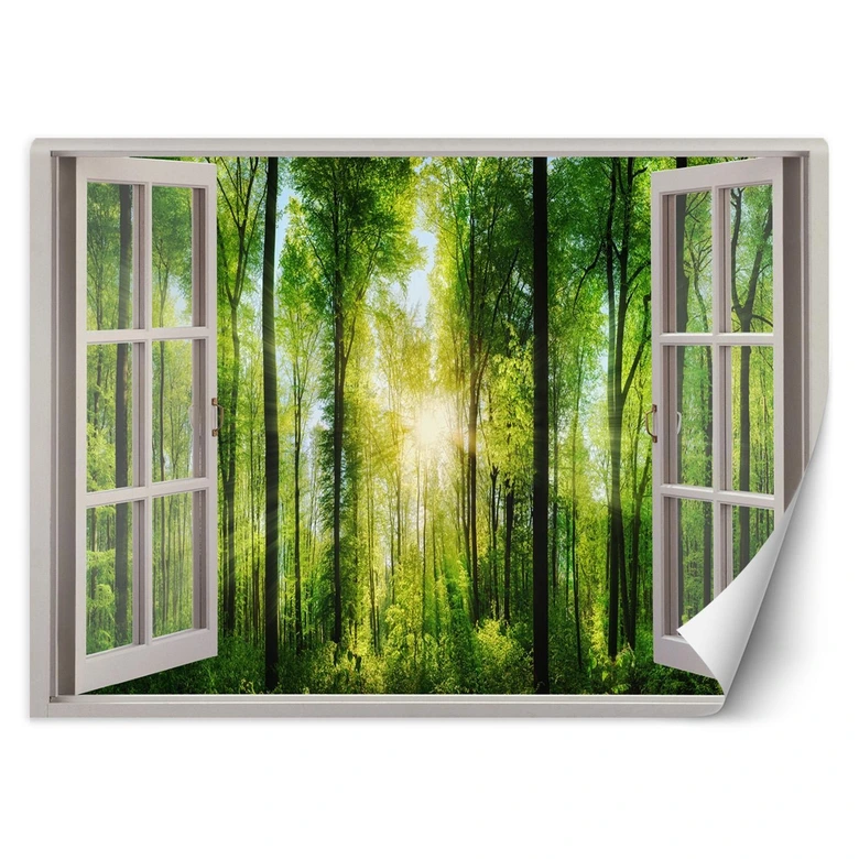 Fototapete Fensterblick Sonnenstrahlen im Wald 