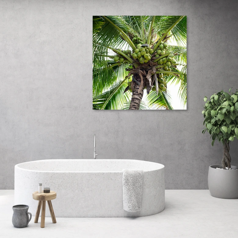 Leinwandbild, Kokusnuss-Palme 