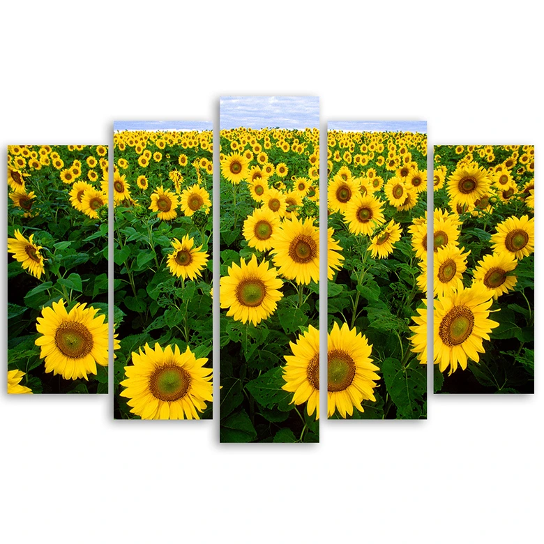 Lærredstryk 5 styk, Sunflowers Meadow 