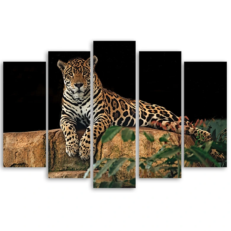 Leinwandbild 5 teilig, Leopard Panther Katze Tier 