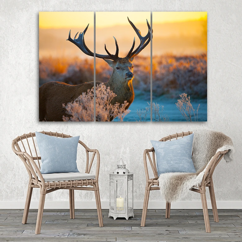 Leinwandbild 3-teilig, Hirsche Tiere 