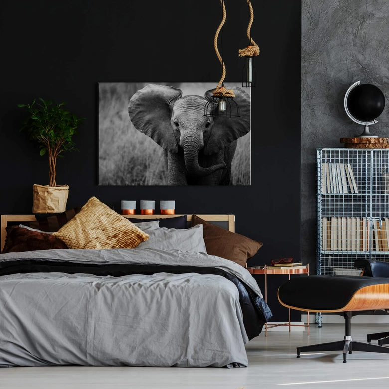 Leinwandbild Jumbo der kleine Elefant 