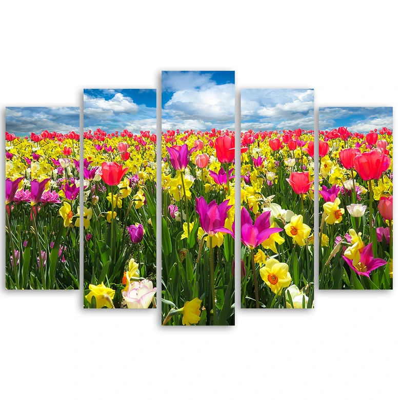 Leinwandbild 5 teilig, Bunte Tulpen Blumen  