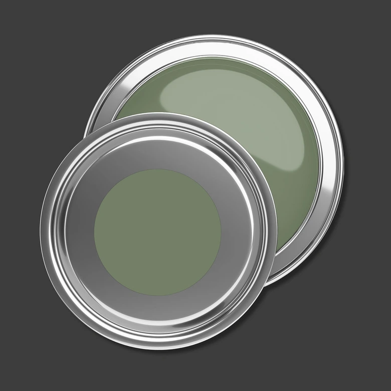 Premium Wandfarbe Grün - Tuchmatte Innenwandfarbe - PURO c5004 sage green 