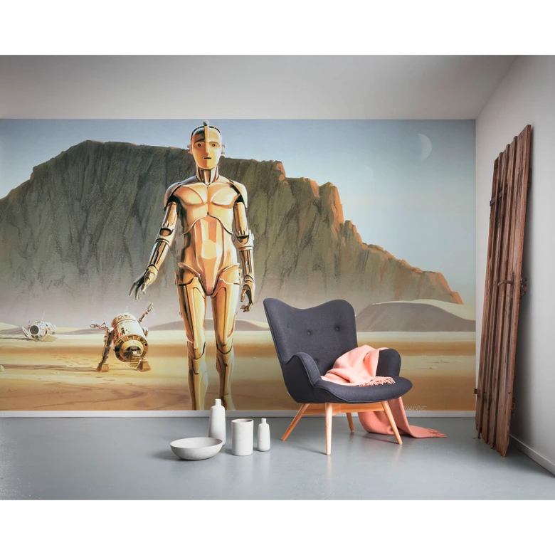 Vlies Fototapete - Star Wars Classic RMQ Droids - 500 x 250 cm 