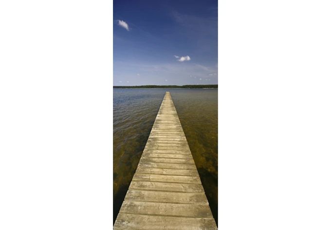 Barra de diseño de la puerta 91x200 cm 