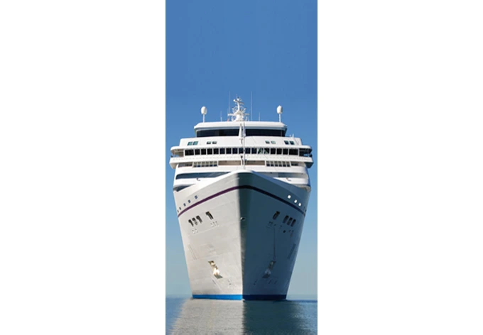 Diseño de puerta Tortuga Bay 91x200 cm 