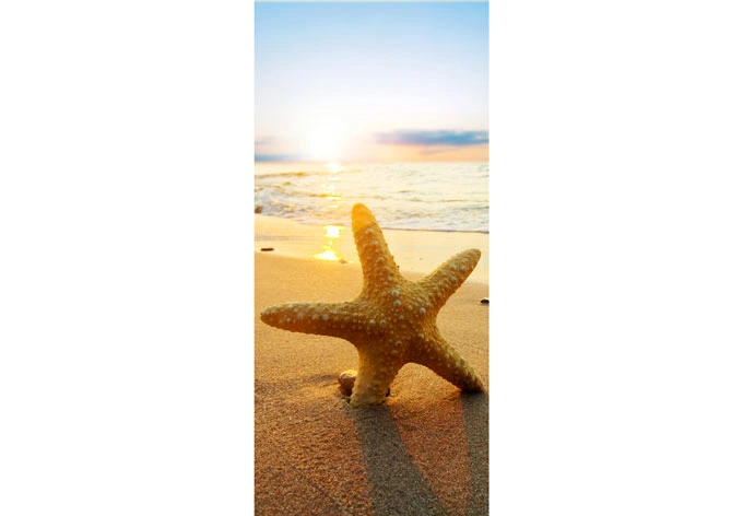 Door decor: Starfish on the Beach 