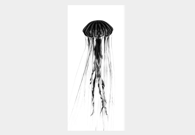 Door decor: Black Jellyfish 