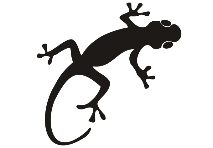 Wandtattoo Gecko 