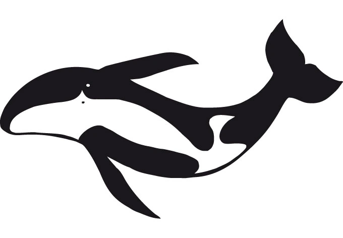 Sticker mural - Baleine 