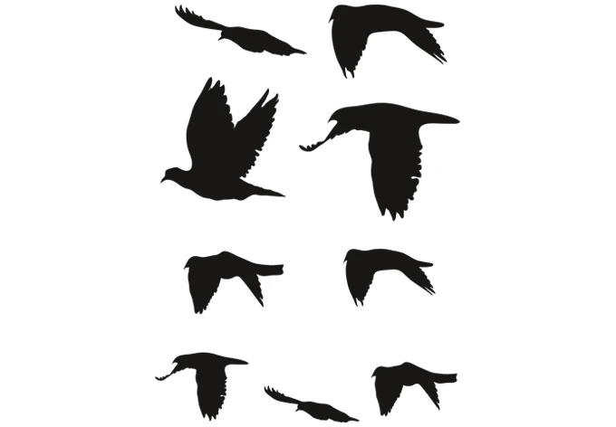 Flock of Birds Wall sticker 