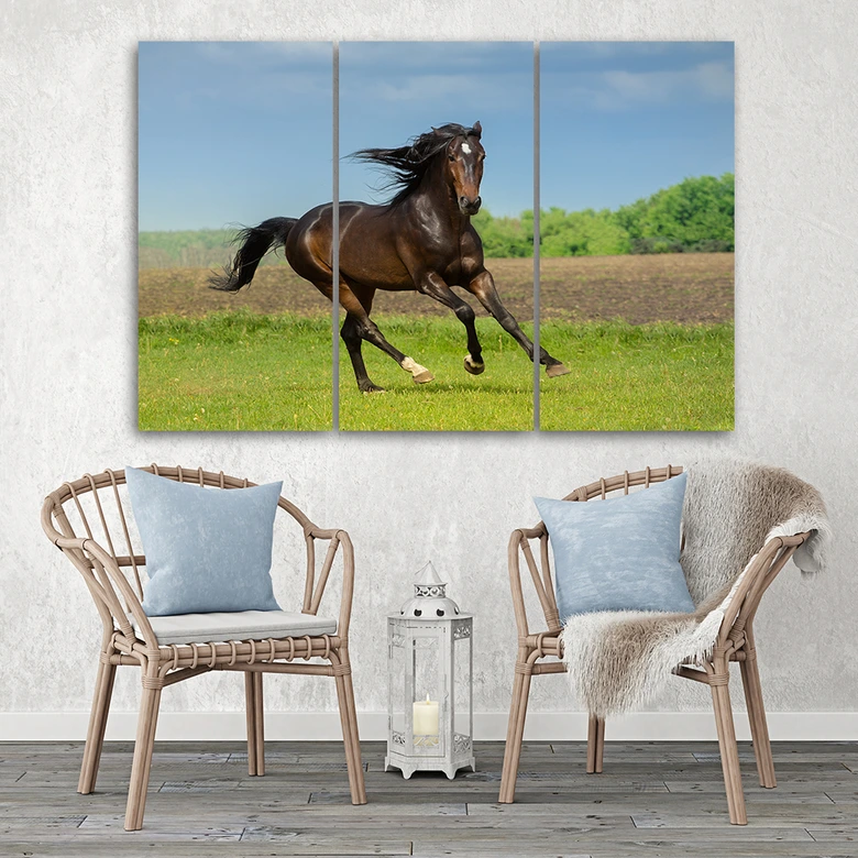 Leinwandbild 3-teilig, Pferdegalopp-Wiese 