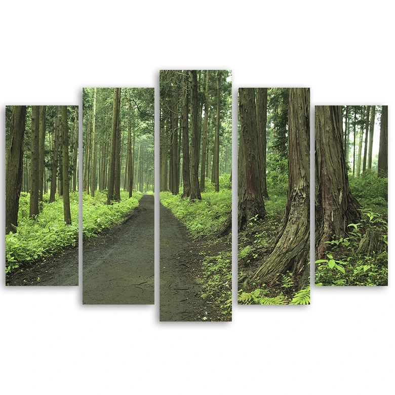 Leinwandbild 5 teilig, Wald Straße Bäume Natur 