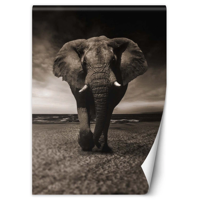 Fototapete, Elefant Tier Afrika 