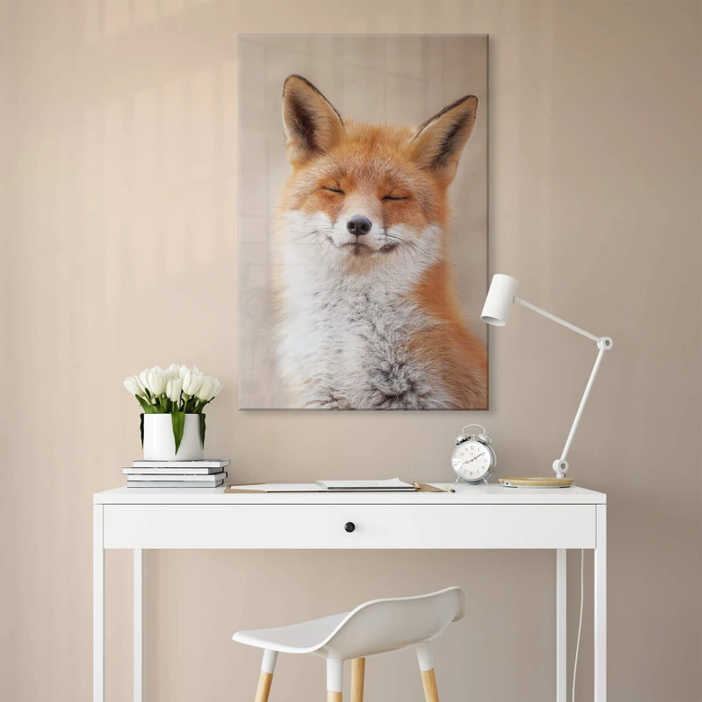 Acrylglasbild van Duijn - Zufriedener Fuchs 