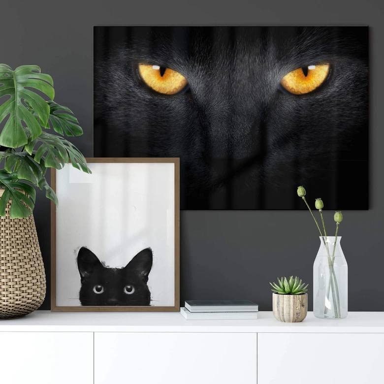 Acrylglasbild Katzenaugen 
