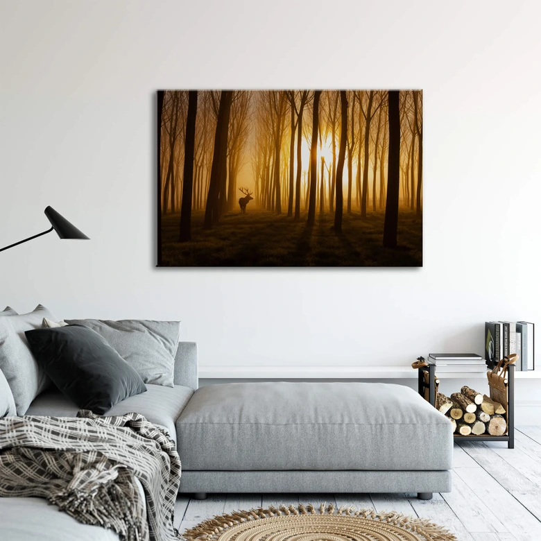 Acrylglas Norim - Forest Beauty 