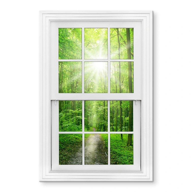 Tableau sur verre acrylique Sunny Forest 