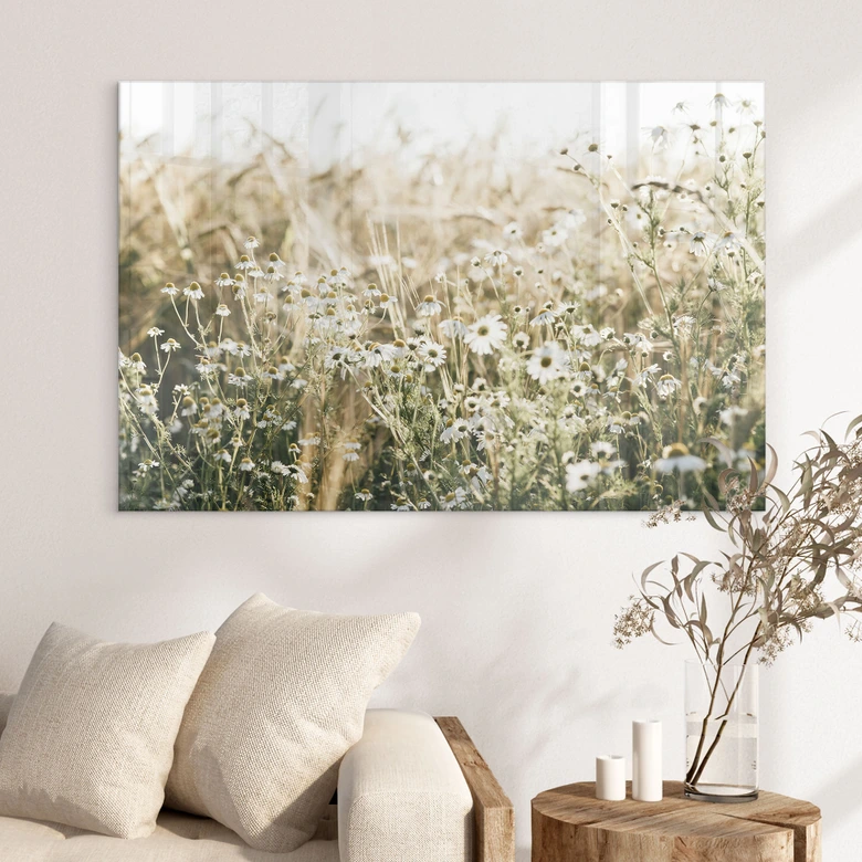 Tableau en verre acrylique Prairie d'été avec camomille - Annie 
