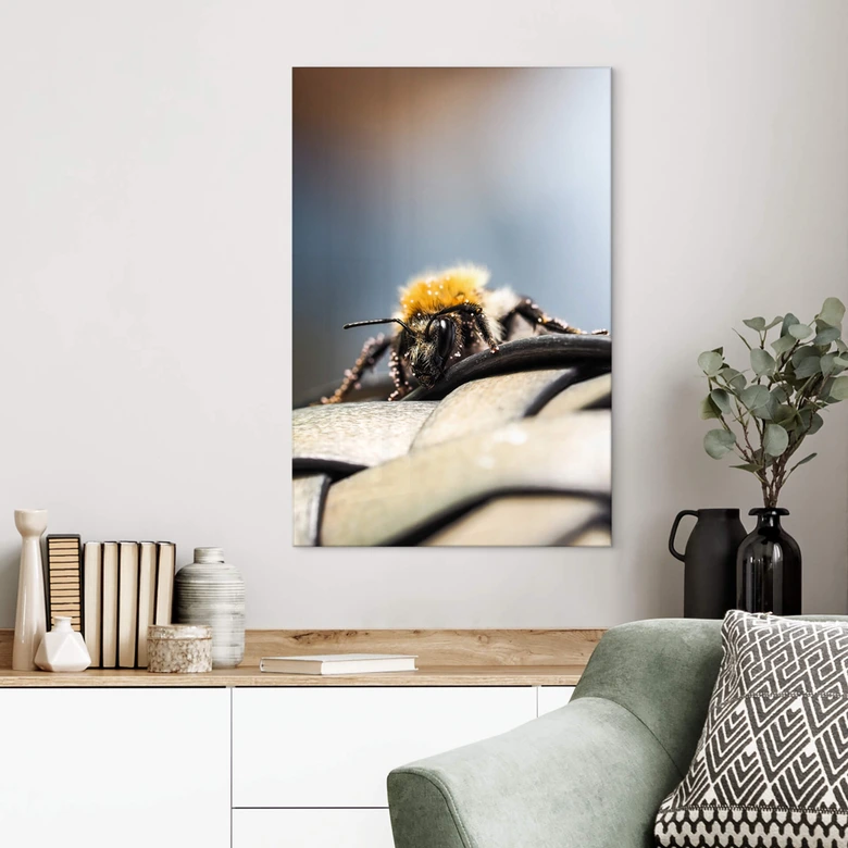 Acrylglasbild Brown - Makro Biene 