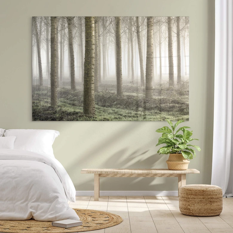 Acrylglasbild Carozzi - Märchenhafter Wald im Morgennebel 