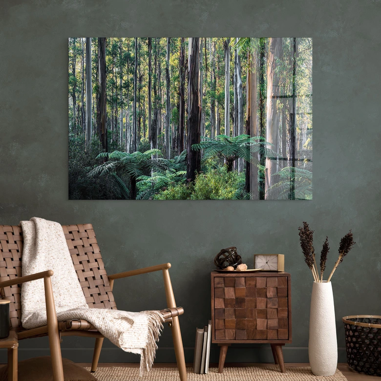 Tableau en verre acrylique Forêt d'eucalyptus dans les Yarra Ranges - Colombo 