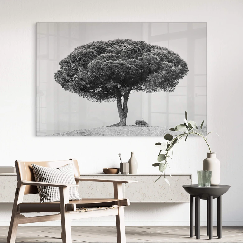 Tableau sur verre acrylique Martin - Arbre en noir et blanc 