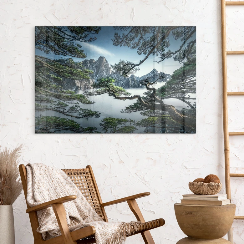 Acrylglasbild Kiefernwald im Huang Shan Gebirge - NingYun Ye 