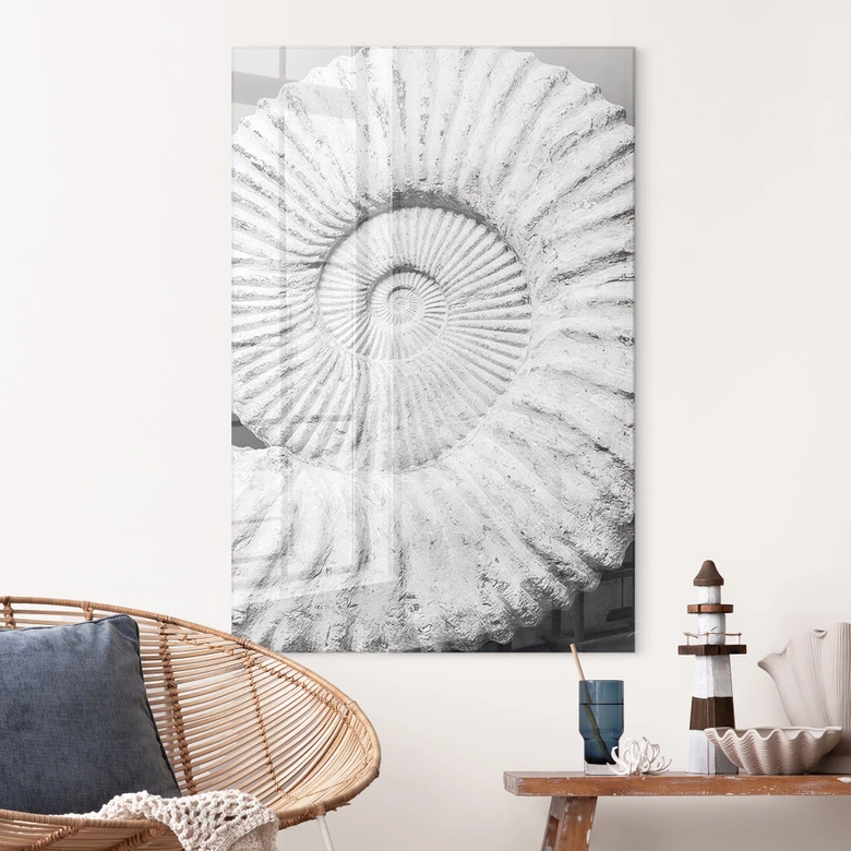 Acrylglas Fossile Muschel - Shot by Clint 