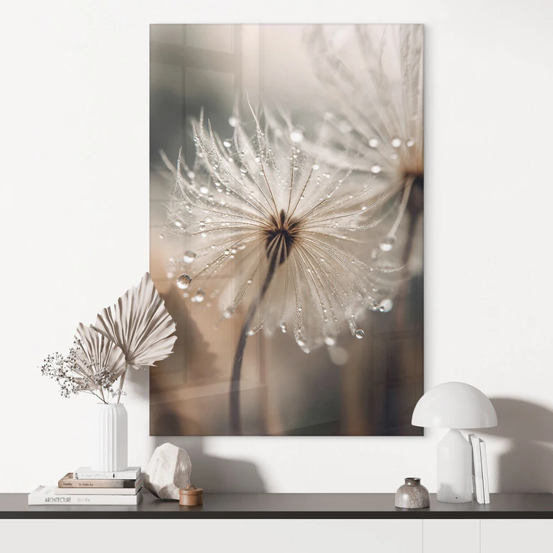 Tableau sur verre acrylique Pissenlit dans la rosée du matin - Treechild 