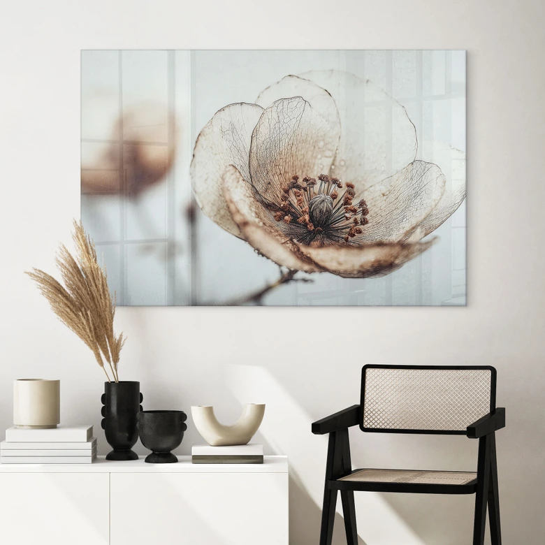 Acrylglasbild Trockenblüte Beige Naturpoesie - Treechild 