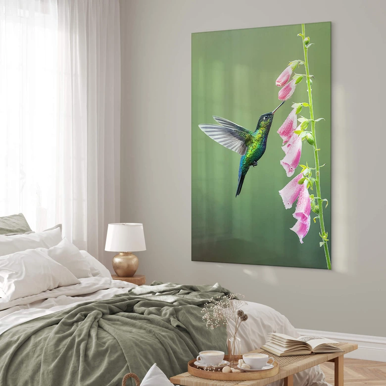 Acrylglasbild van Duijn - Kolibri im rosa Blütenzauber 