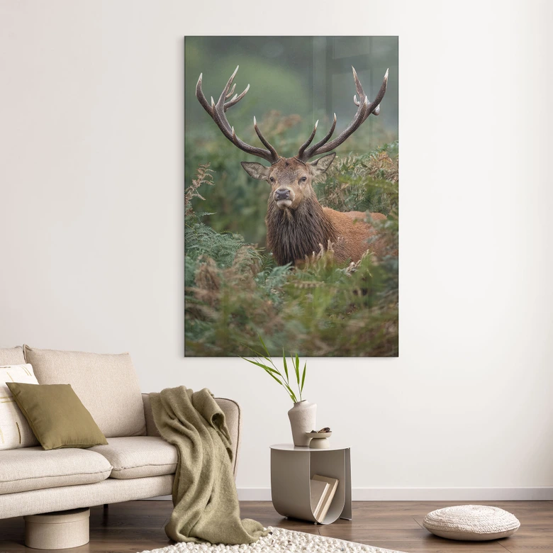 Acrylglasbild Rothirsch - Wächter des Waldes - van Duijn 