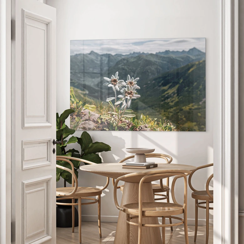 Tableau en verre acrylique Blanc des Alpes-Edelweiss sur la montagne 