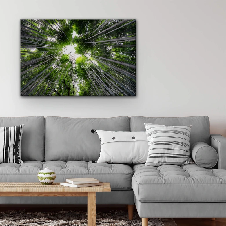 Acrylglasbild Hugonnard - Wald in Japan 