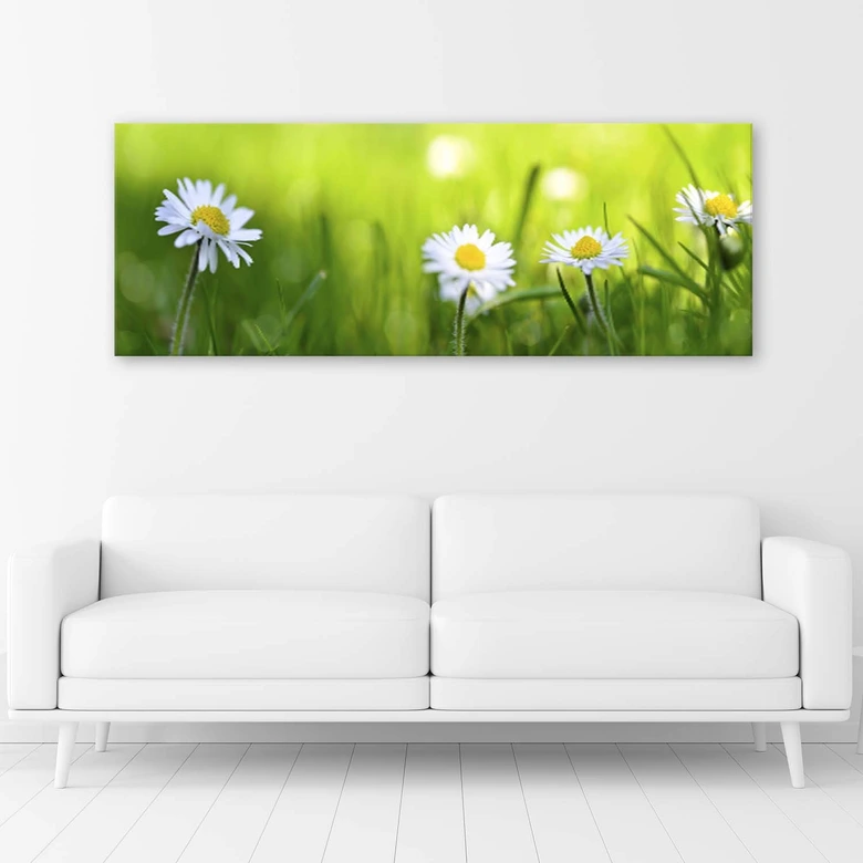 Leinwandbild, Gänseblümchen im Gras 