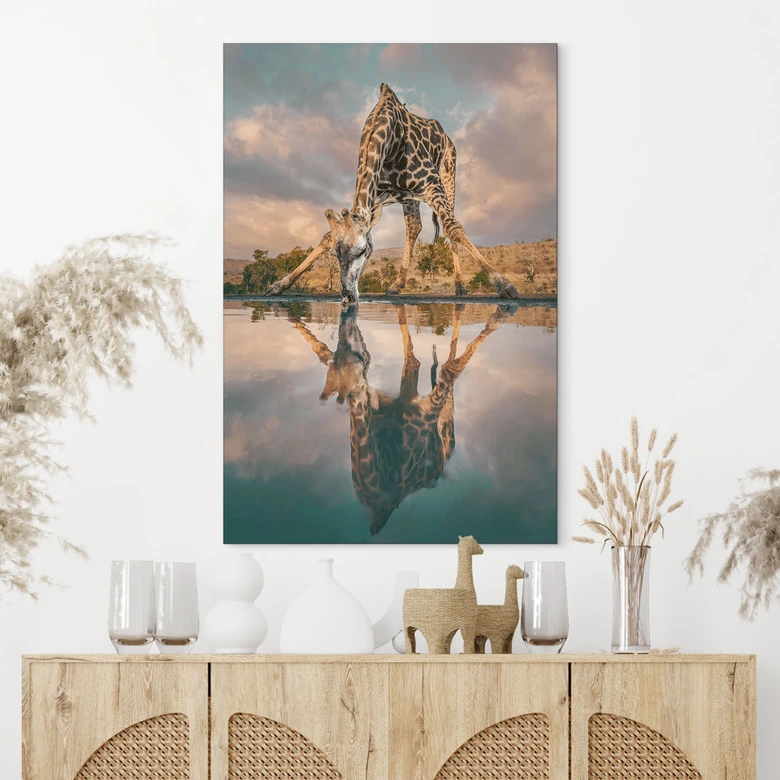 Wandbild Reflexion einer Giraffe in der Wildnis - Amtmann - Alu-Dibond 