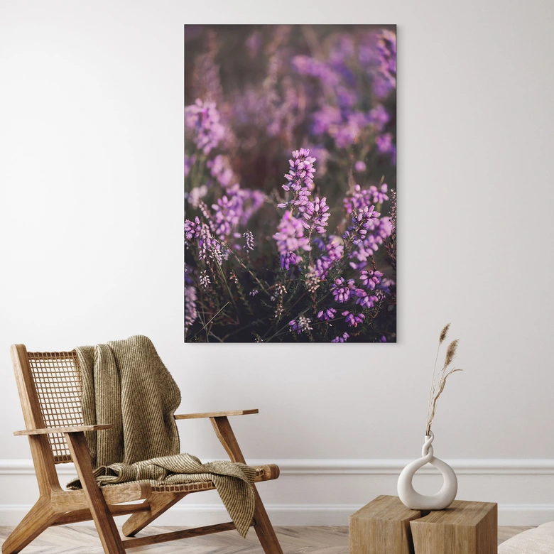 Wanddecoratie paarse heidebloesem in warm licht | natuurfotografie voor de woonkamer - Annie - aluminium dibond 