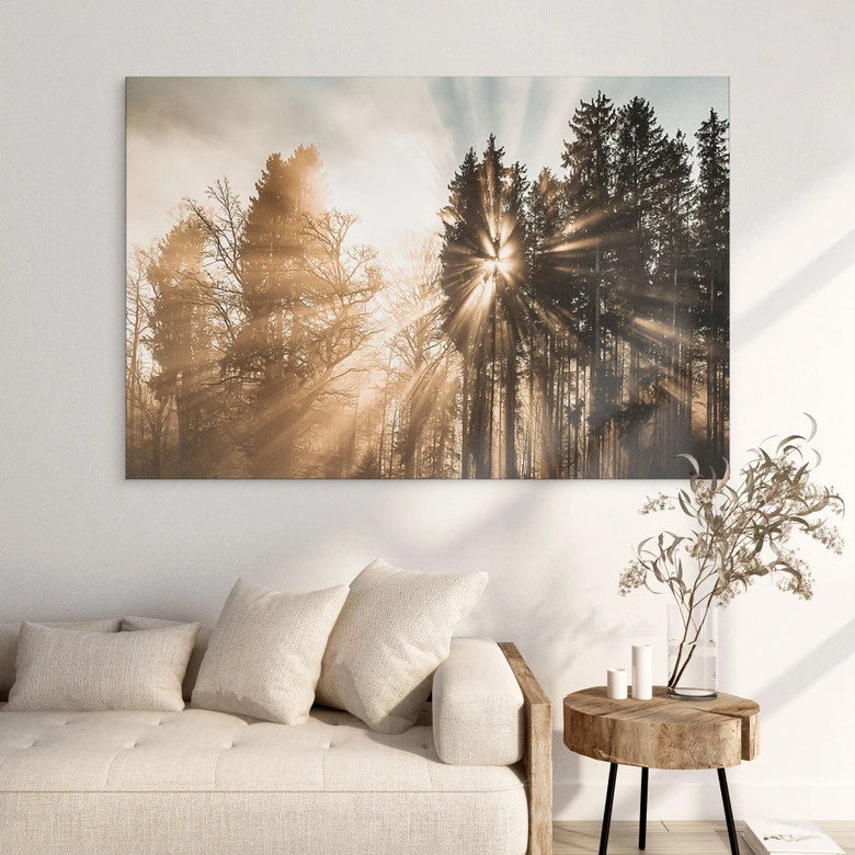 Wandbild Lichtstrahlen im Wald - Eisenmann - Alu-Dibond 